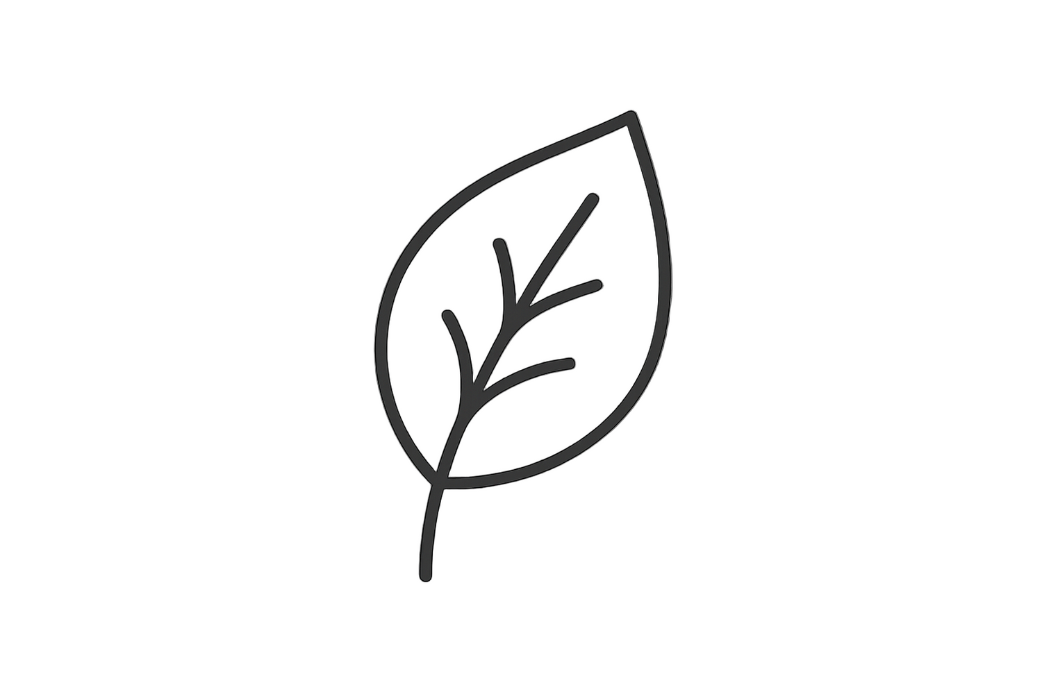 leaf icon outline